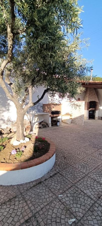 Villa Luisa Il Giardino Sul Mare Sciacca Extérieur photo